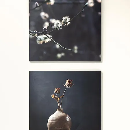 Baltic Dune - Za Wydma, 2 Sypialnie, Komfort I Pelne Wyposazenie *