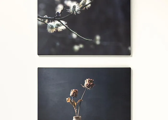 Baltic Dune - Za Wydma, 2 Sypialnie, Komfort I Pelne Wyposazenie *